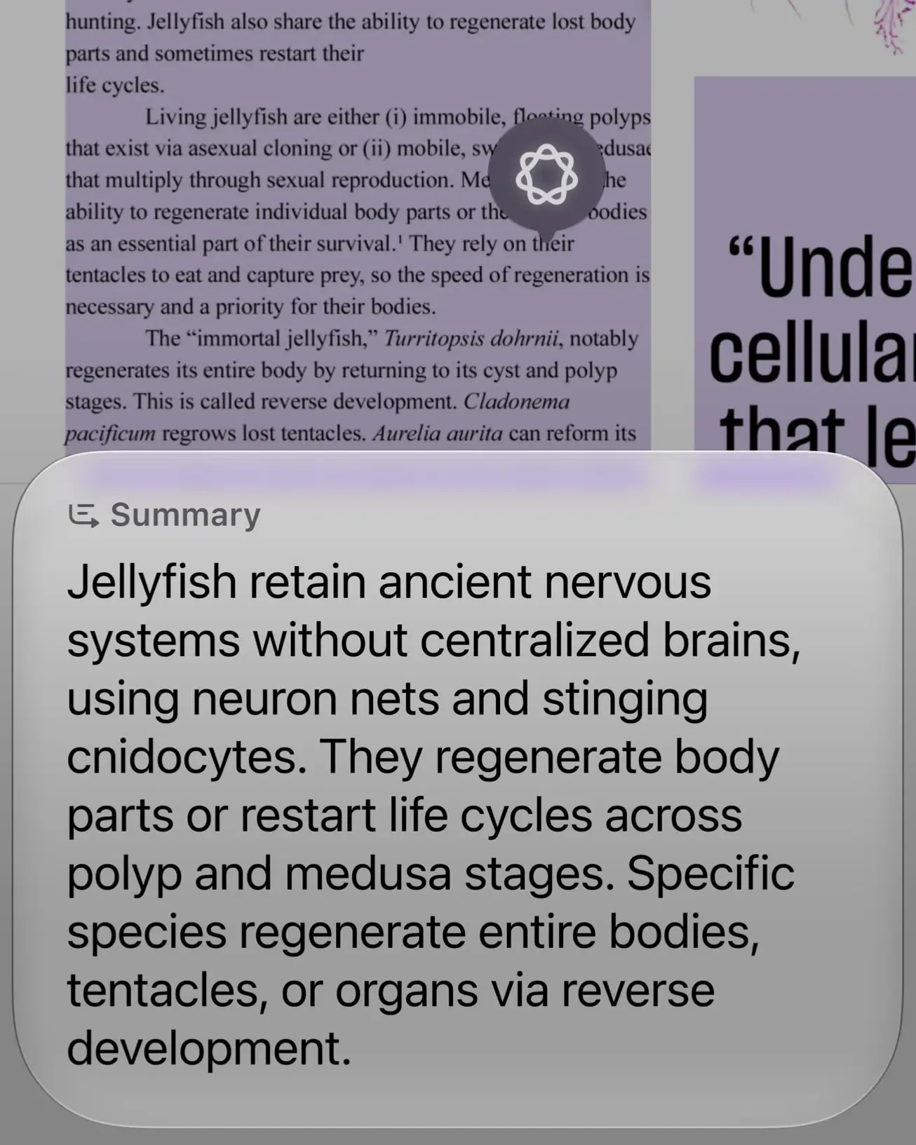 Siri AI displaying onscreen awareness to answer context-specific questions on iPhone