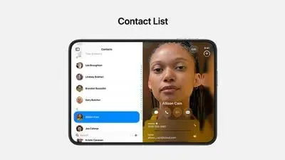 Native Contacts application dual-view interface showing split master list and detail views