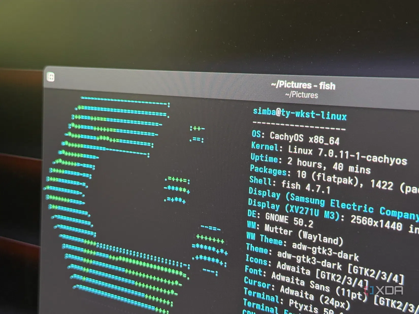 Interface de terminal do CachyOS Linux detalhando compilações de pacotes padrão e saídas de telemetria do sistema