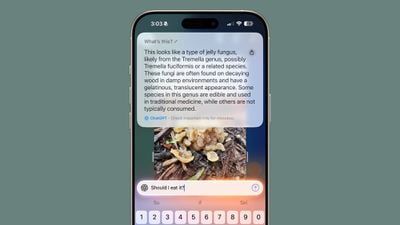Demonstrasi antara muka kamera Apple Visual Intelligence mengenal pasti objek